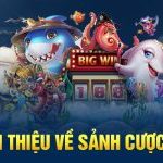 Giới thiệu về sảnh cược 3D