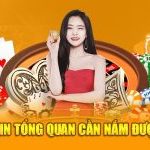 Thông tin tổng quan cần nắm được về V8